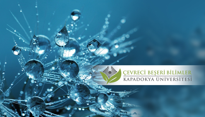 “Çevreci Beşeri Bilimler Alanının COVID-19'a Cevabı: Açık Mektup”a 100 İmza!